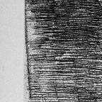 American
Unbound Book with a Suite of Twelve Etchings
32 x 20 cm (image)
Gift of Louis H. Leiter
1996.94.2.8
Author, William Shakespeare
Copyright retained by the artist.