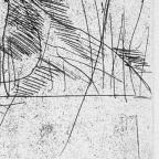 American
Unbound Book with a Suite of Twelve Etchings
32 x 20 cm (image)
Gift of Louis H. Leiter
1996.94.2.8
Author, William Shakespeare
Copyright retained by the artist.