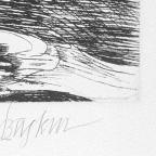 American
Unbound Book with a Suite of Twelve Etchings
32 x 19.5 cm (image)
Gift of Louis H. Leiter
1996.94.2.6
Author, William Shakespeare
Copyright retained by the artist.