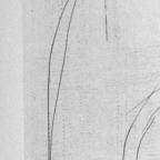 American
Unbound Book with a Suite of Twelve Etchings
32.5 x 20 cm (image) 
Gift of Louis H. Leiter
1996.94.2.5
Author, William Shakespeare
Copyright retained by the artist.